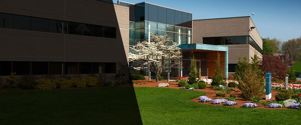 Apollo Beach Landscapers