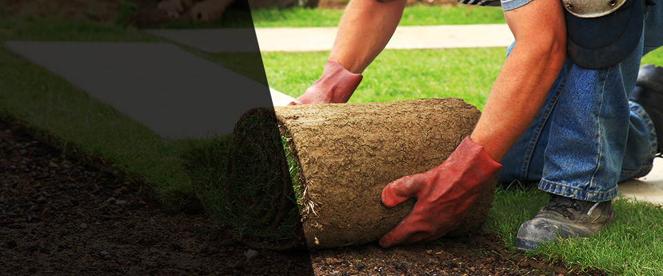 Apollo Beach Landscapers